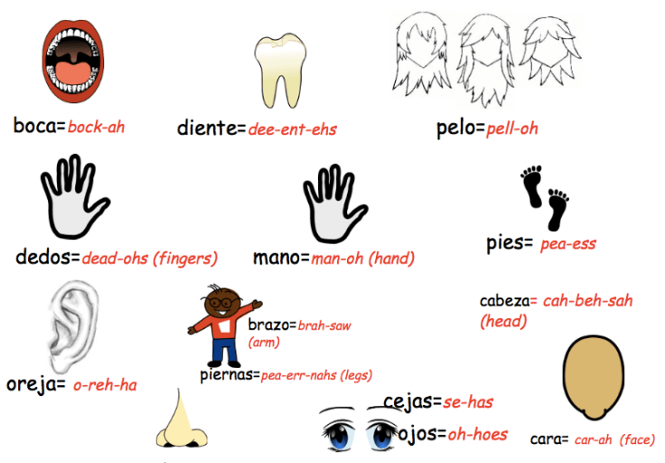 Screen Shot 2017-10-09 at 9.12.05 PM